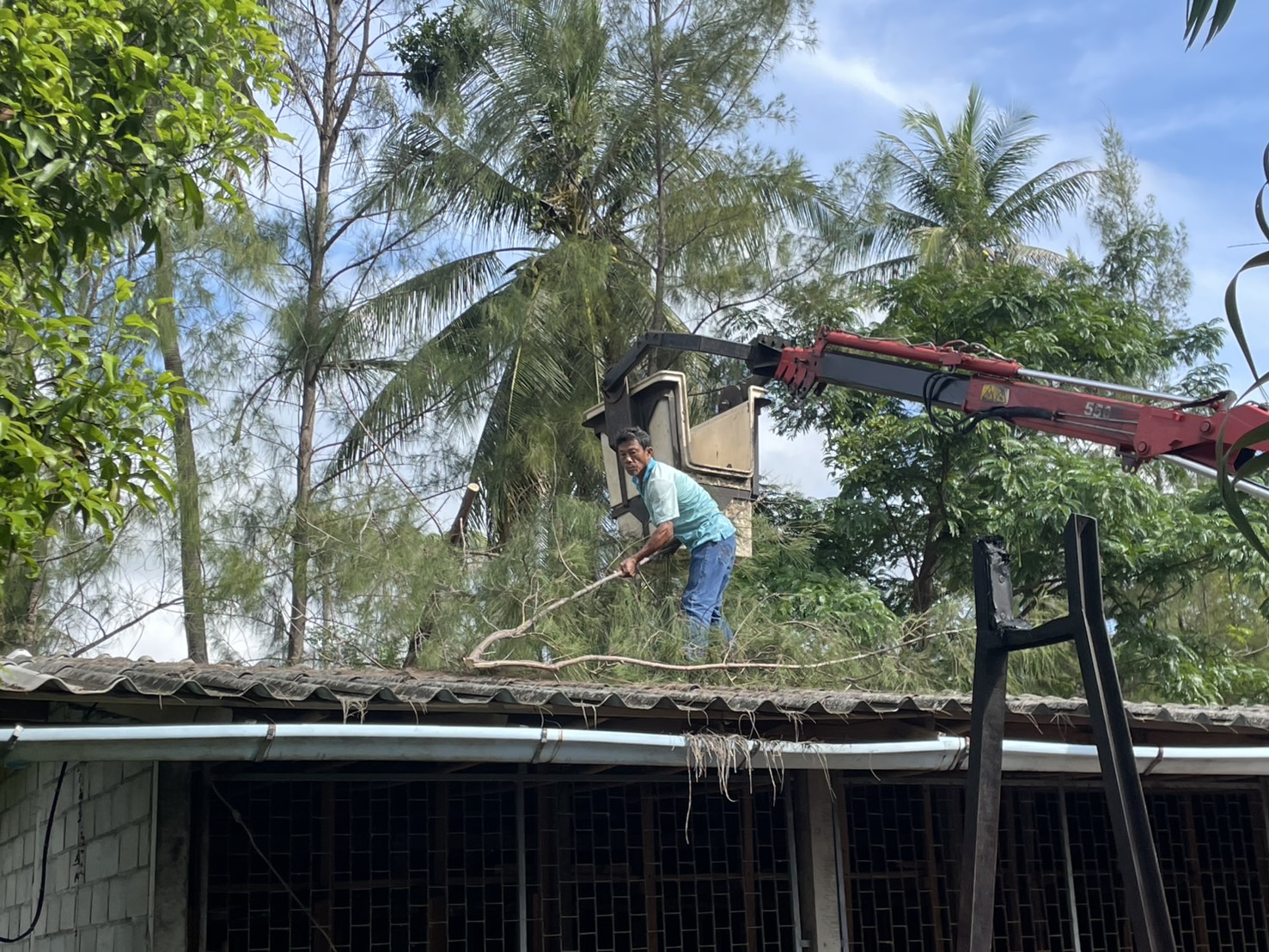 วันที่ 16 พฤษภาคม 2568 เนื่องจากเกิดเหตุฝนฟ้าคะนอง ลมพัดต้นไม้ล้มทับบ้าน นางชวา น้ำทิพย์ หมู่ที่ 3 บ้านปอแดง🔸นายณรงค์ พลายน้อย🔸 นายกองค์การบริหารส่วนตำบลกำเนิดนพคุณ ได้มอบหมายให้ งานป้องกันและบรรเทาสาธารณภัย เข้าช่วยเหลือเบื้องต้นเป็นที่เรียบร้อยแล้ว