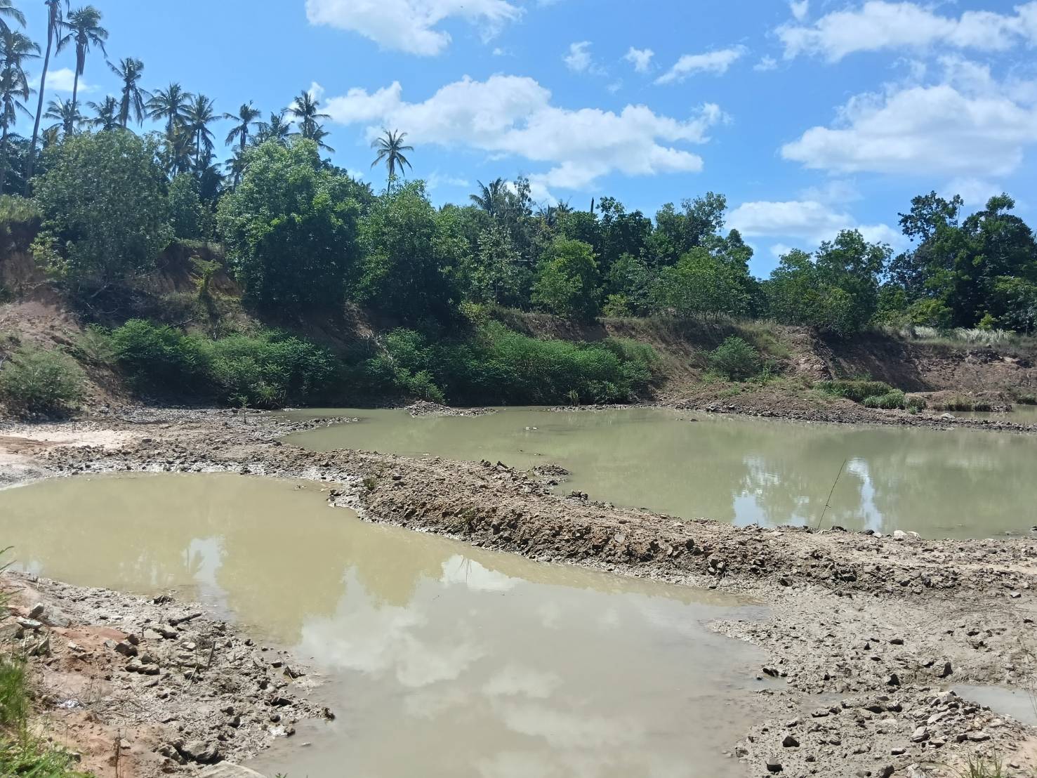 วันที่ 21 กรกฎาคม 2569 นายณรงค์ พลายน้อย นายกองค์การบริหารส่วนตำบลกำเนิดนพคุณ ลงพื้นที่ พร้อมกับ ปลัดอบต. และงานป้องและบรรเทาสาธารณภัย เข้าตรวจสอบ กรณีแหล่งน้ำดิบสำหรับผลิตน้ำประปา มีปริมาณลดลงส่งผลให้เกิดน้ำประปาไหลอ่อนหรือไม่ไหลในบางพื้นที่ ทั้งนี้ได้สำรวจสภาพพื้นที่ประเมินปริมาณน้ำคงเหลือ และงานแนวทางแก้ไขปัญหาเพื่อบรรเทาความเดือดร้อนของประชาชนอย่างเร่งด่วน